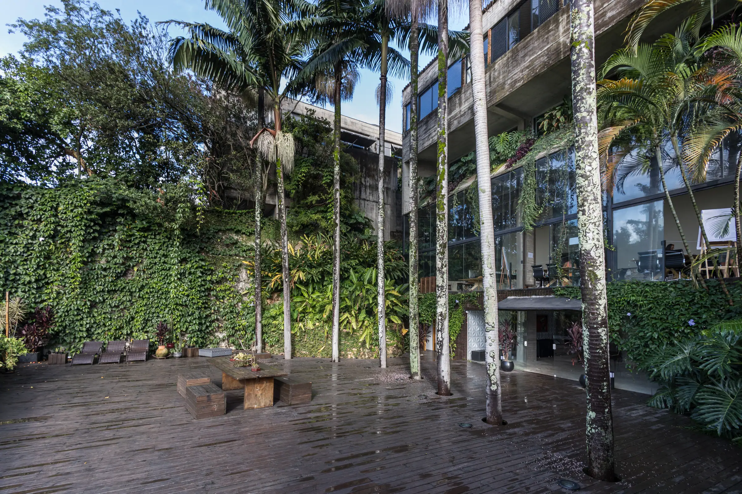 Deck da Residência Cósmica visto entre troncos de palmeira, fachada de vidro ao fundo