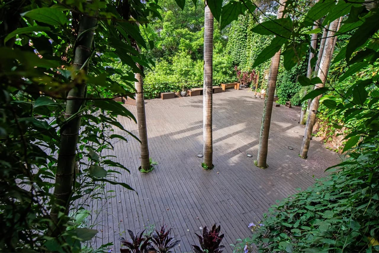 Deck de madeira da Residência Cósmica emoldurado por folhagem, luz filtrada caindo sobre o piso vazio
