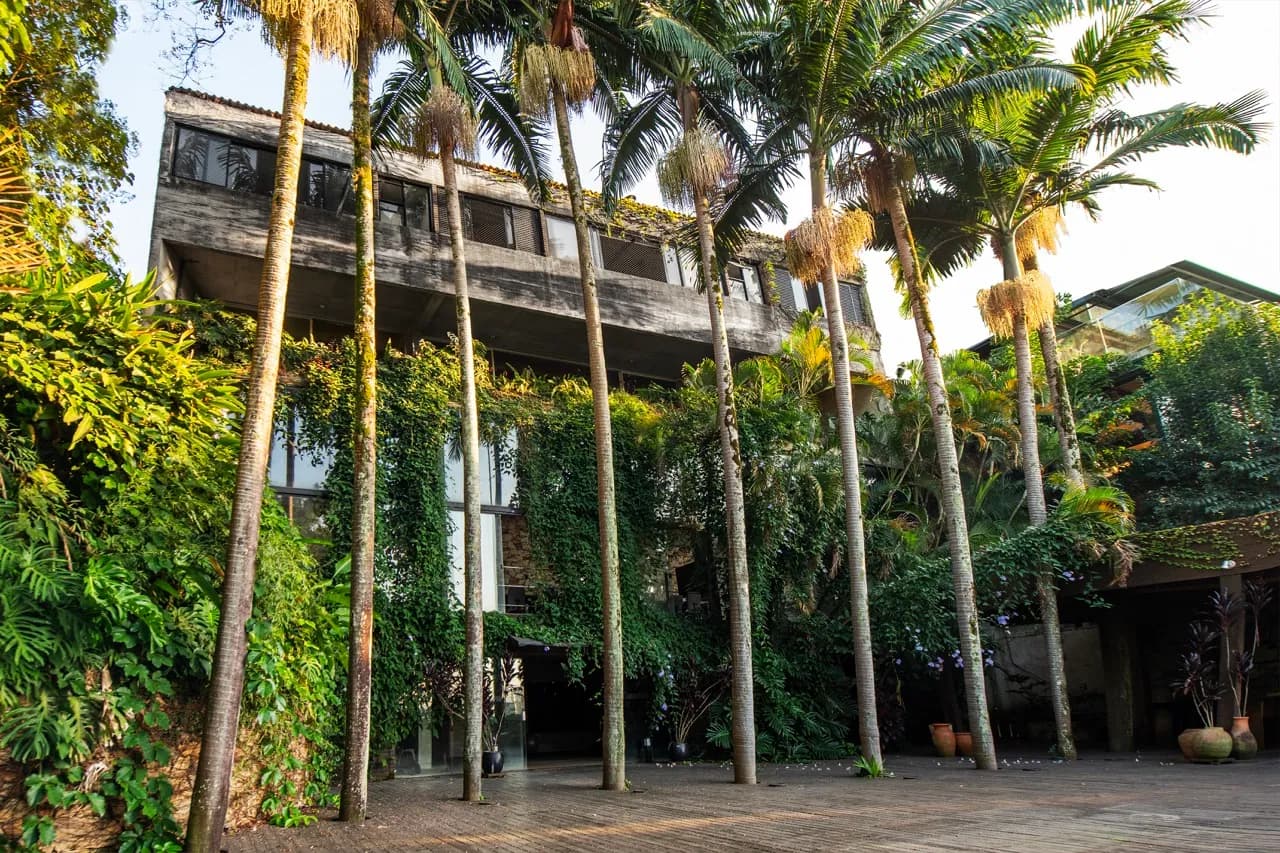 Fachada da Residência Cósmica vista entre troncos de palmeira imperial, luz da manhã batendo no concreto coberto de trepadeiras