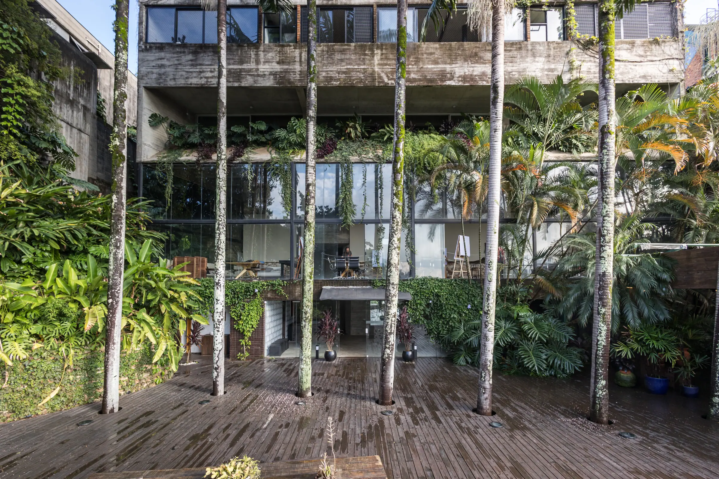 Piso de madeira molhado do deck, palmeiras em primeiro plano e a casa refletindo luz de vidro
