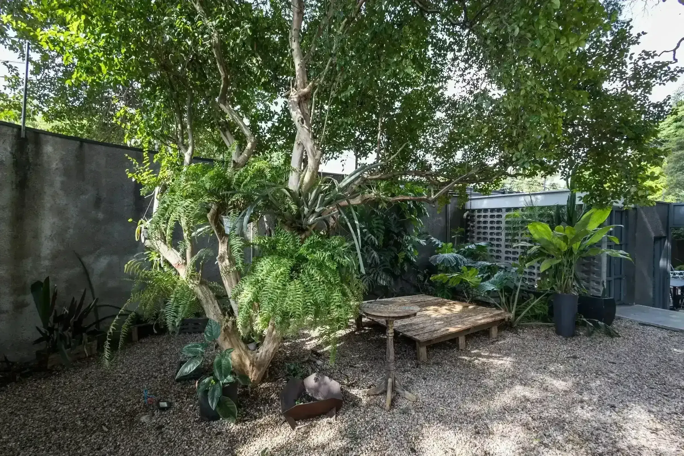 Banco de madeira rústico embaixo de arco de plantas na Casa Cósmica, luzes amarelas penduradas entre os galhos