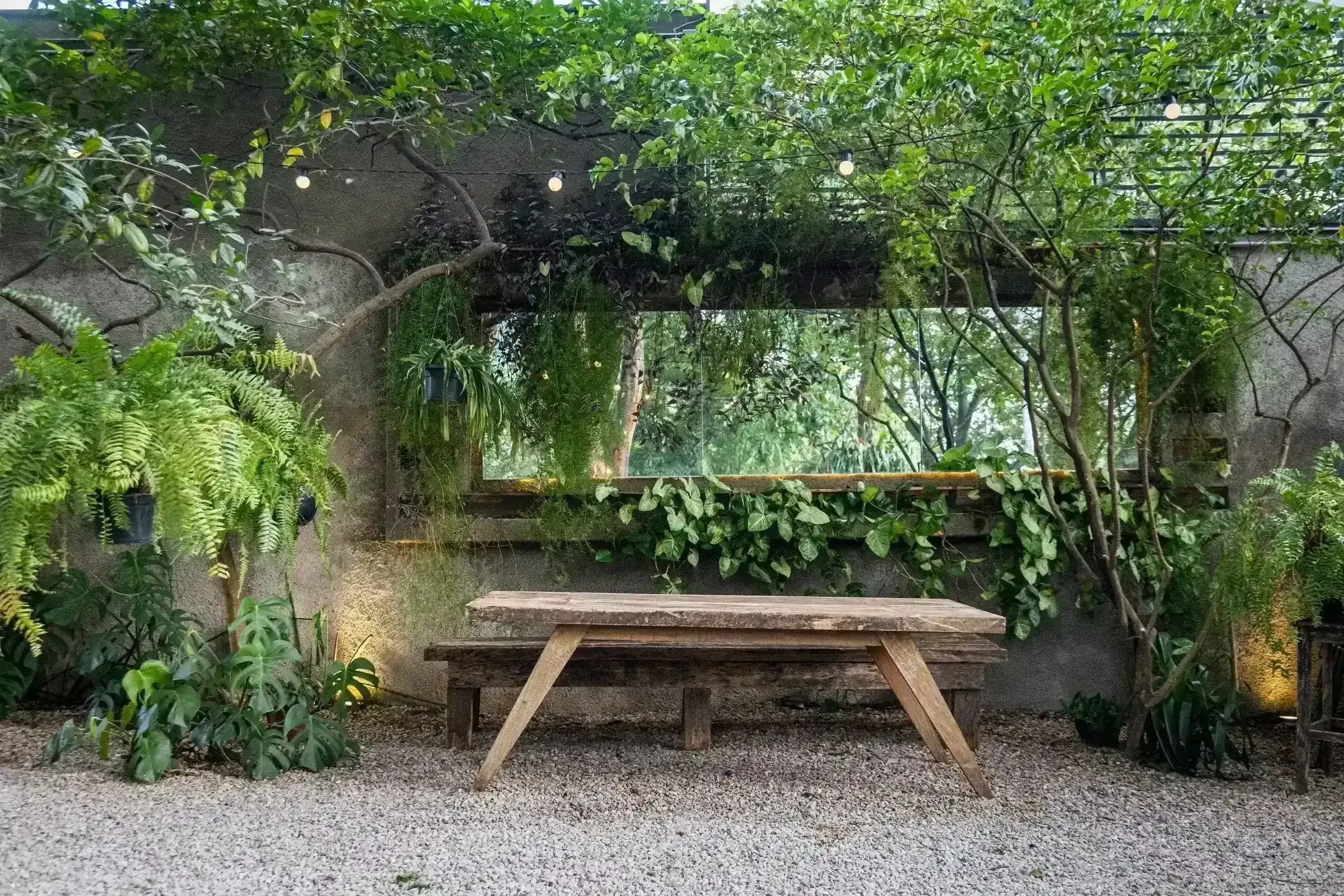 Banco de madeira solitário sob arco verde na Casa Cósmica, luzes amarelas acesas ao entardecer
