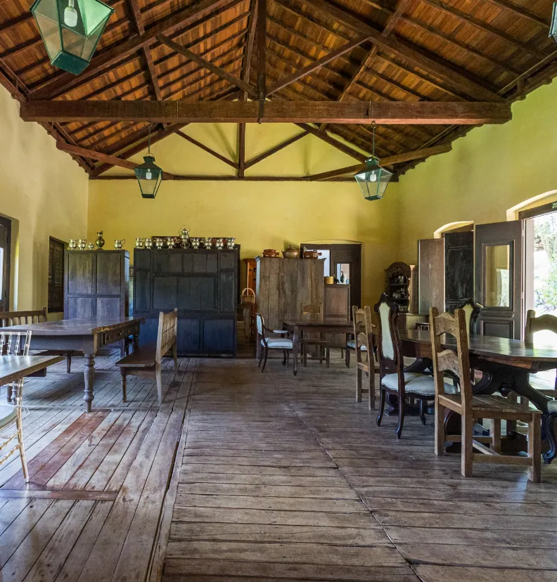 Conheça Tulha